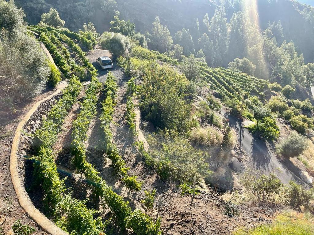 אל פאסו Villa De Taburiente מראה חיצוני תמונה